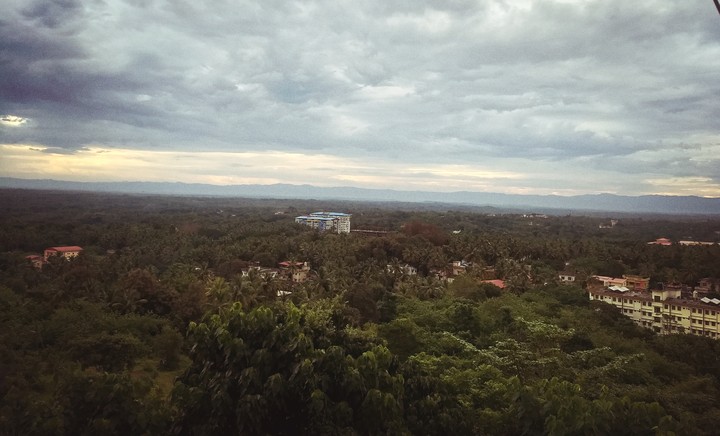 love for nature