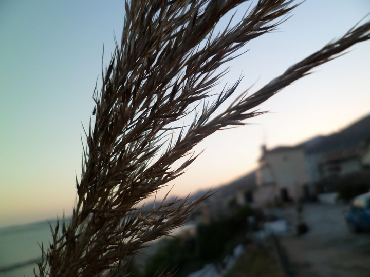 Sunset in background