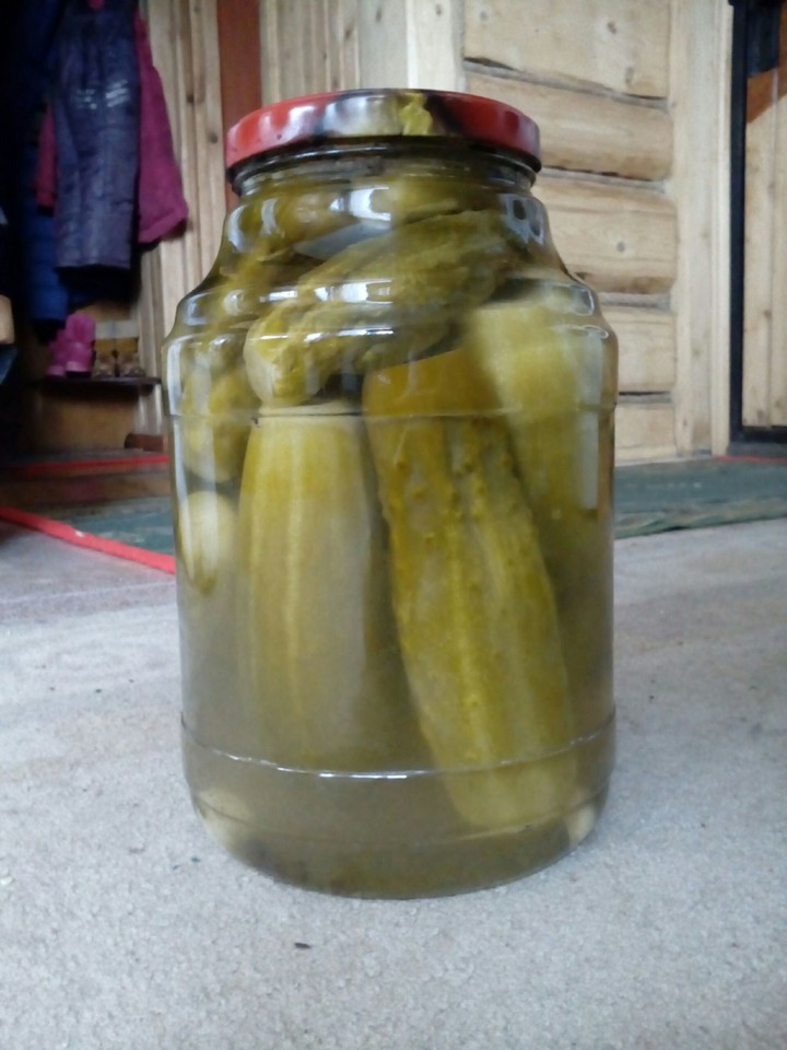 Огурцы