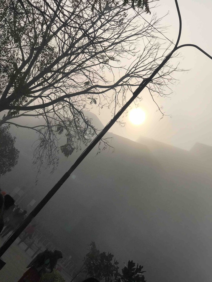 fog
