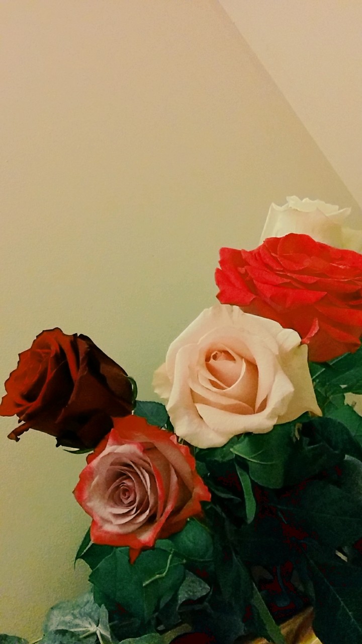 Beautiful love roses