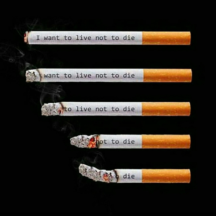 life  life