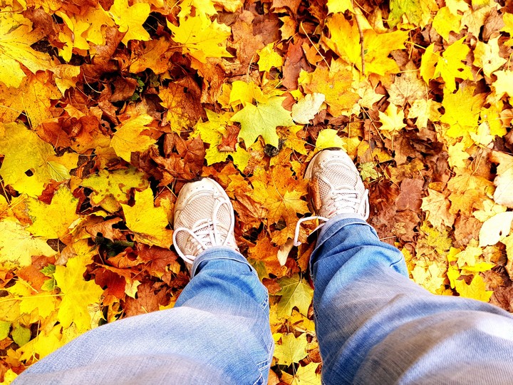 My Autumn.