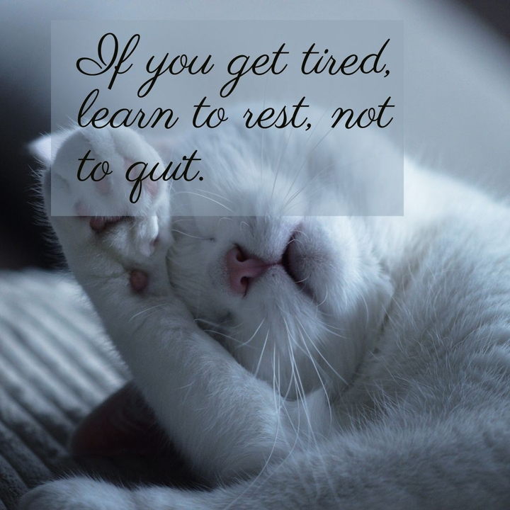 positive quotes