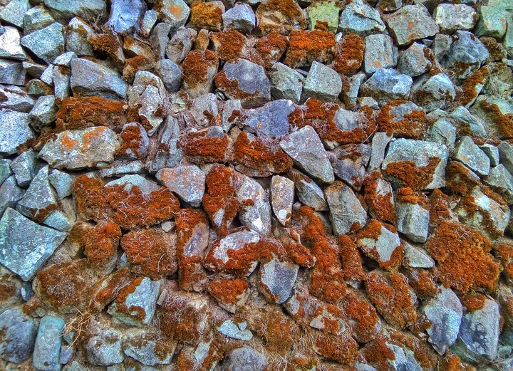 Rocks Texture