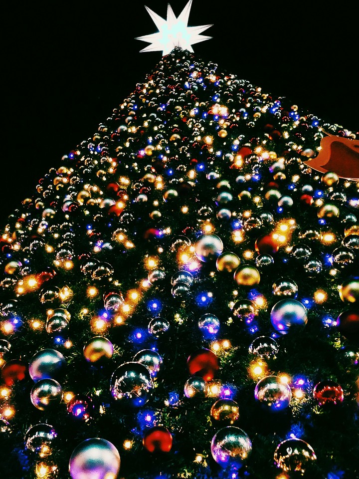 Christmas Season