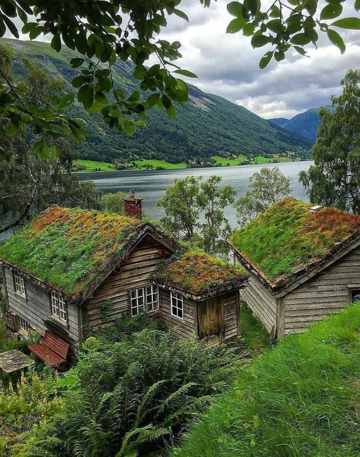 ⛰☘⛰☘⛰☘☺