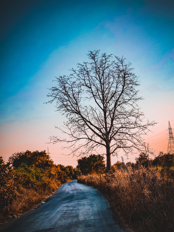 empty road