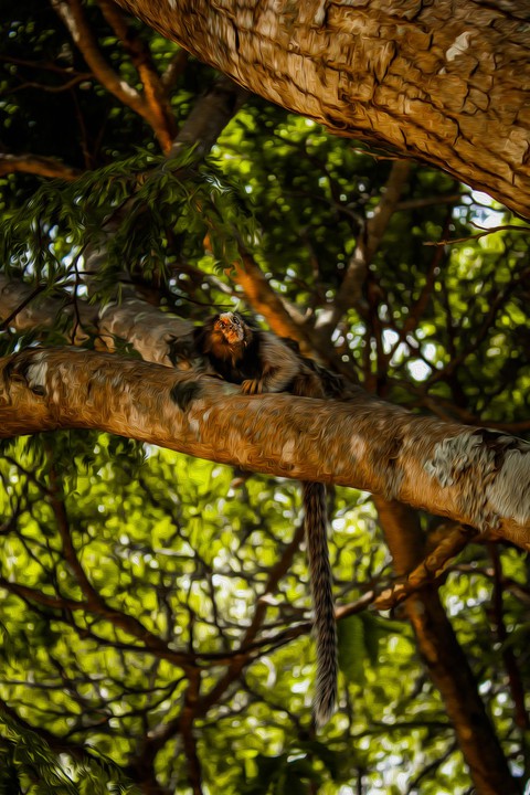Natureza