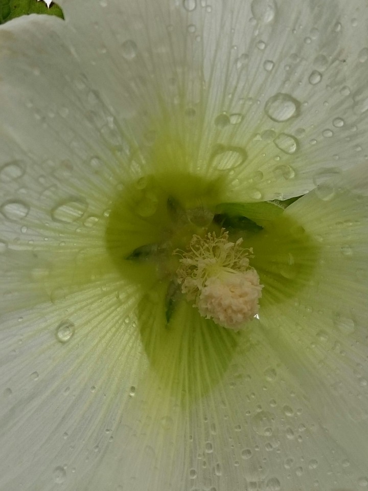 Steckdose nach dem Regen