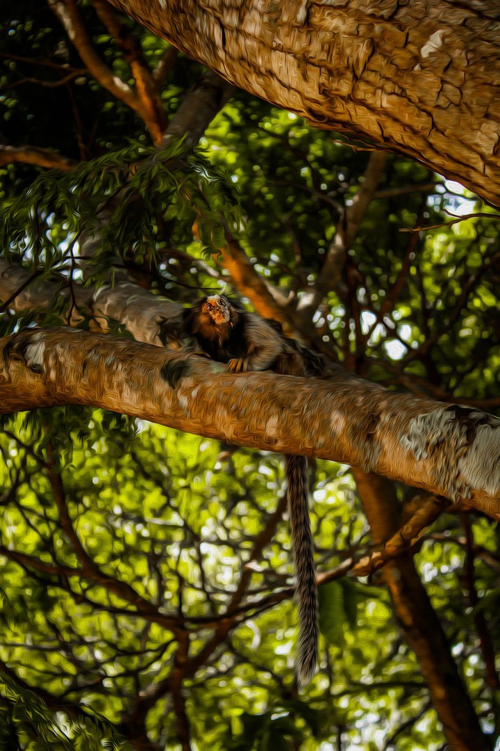 Natureza