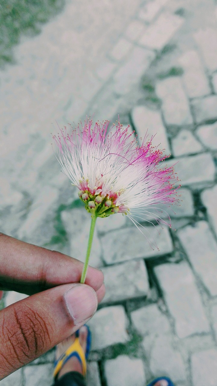 Unknown natural object