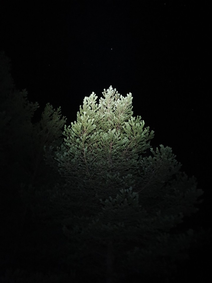 Light in the dark