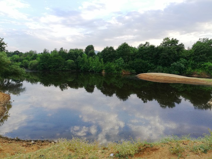 nature