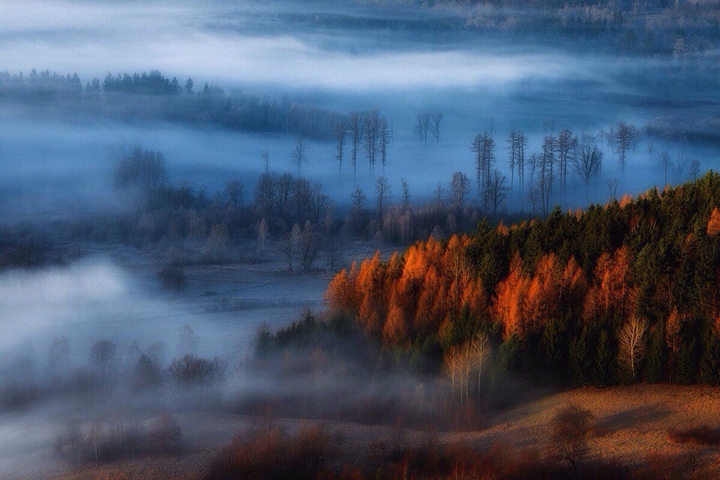 лес