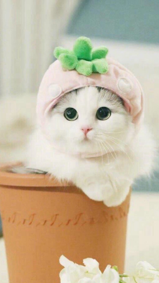 мне тепло
