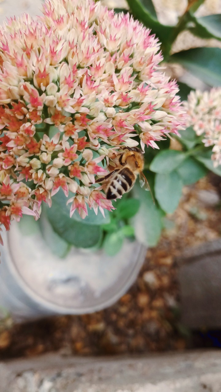 September