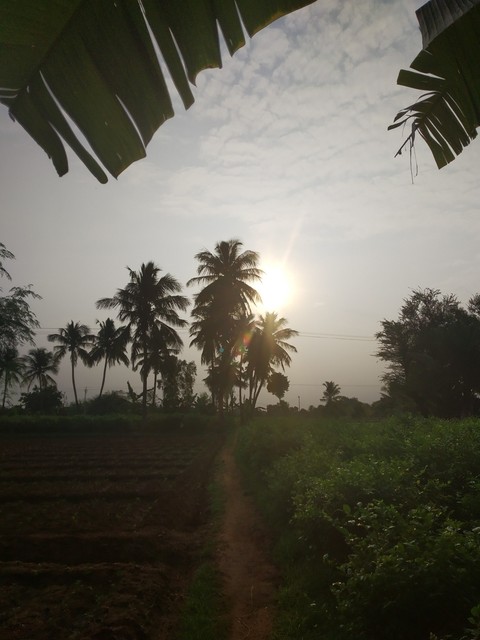 sunrise