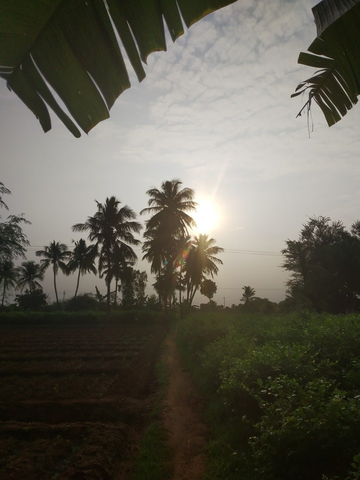 sunrise