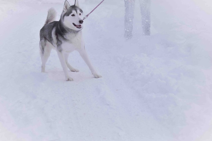 ❄️❄️❄️