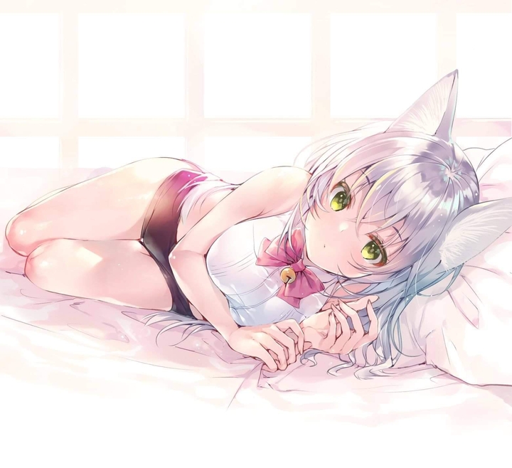 cat2