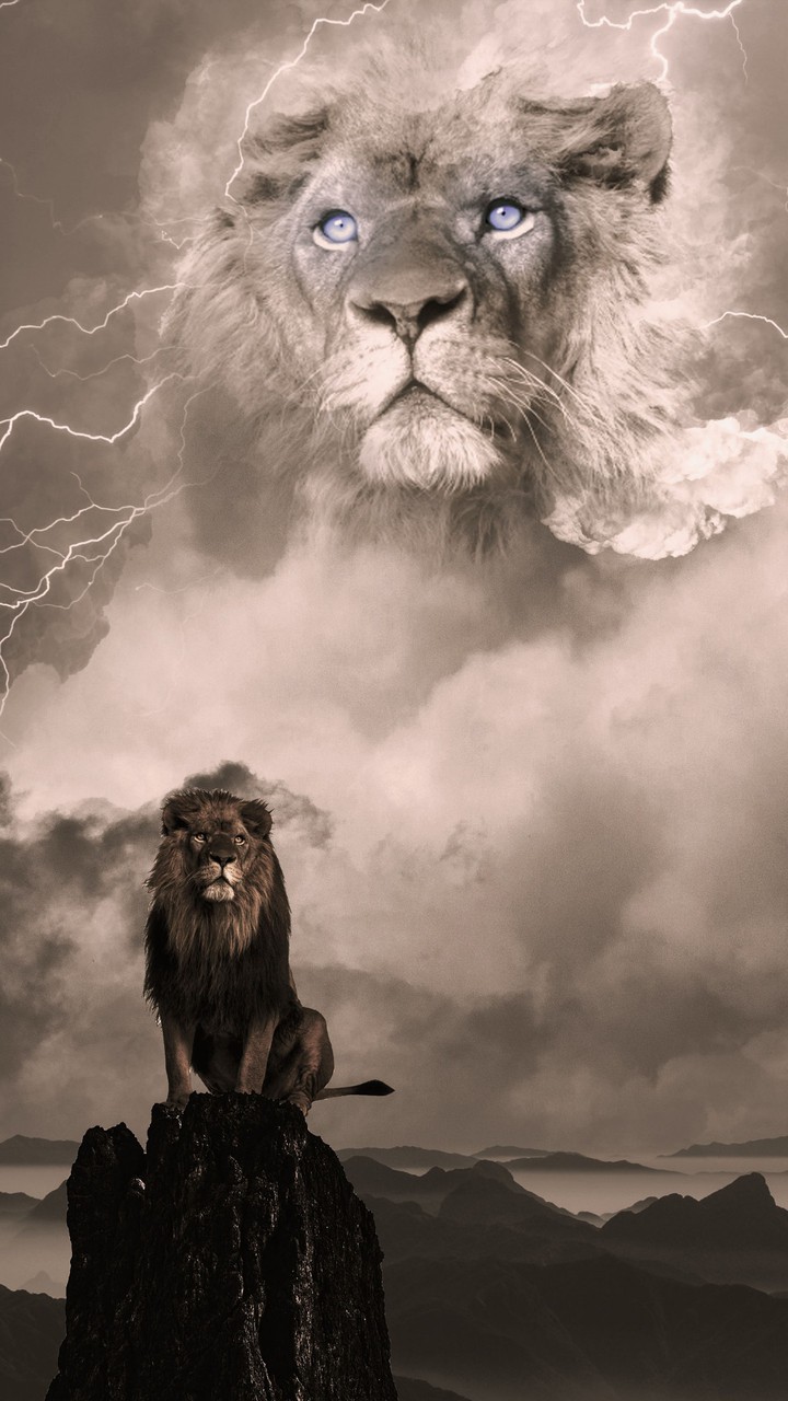 king