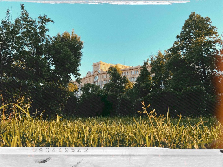 green summer
