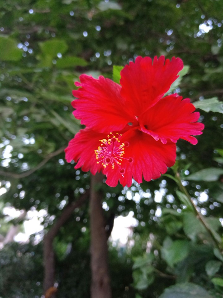 Beauty Of Nature
