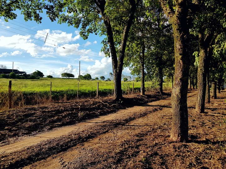 Country life in Brasil.