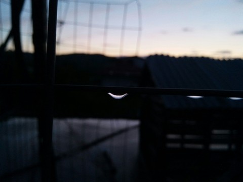 rain