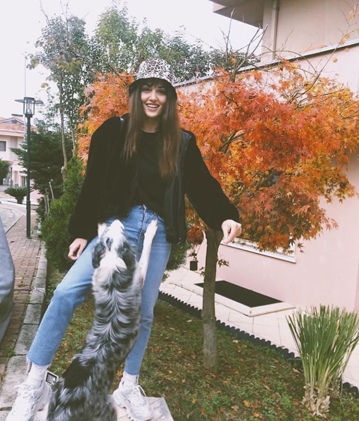 hande ercle