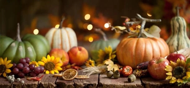 Thanksgiving/holiday display