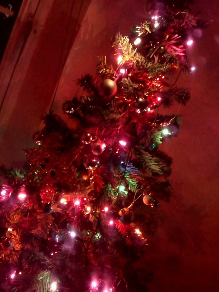 Red Christmas Tree