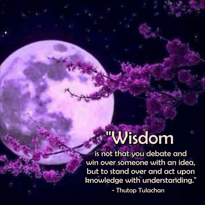 Wisdom Quotation