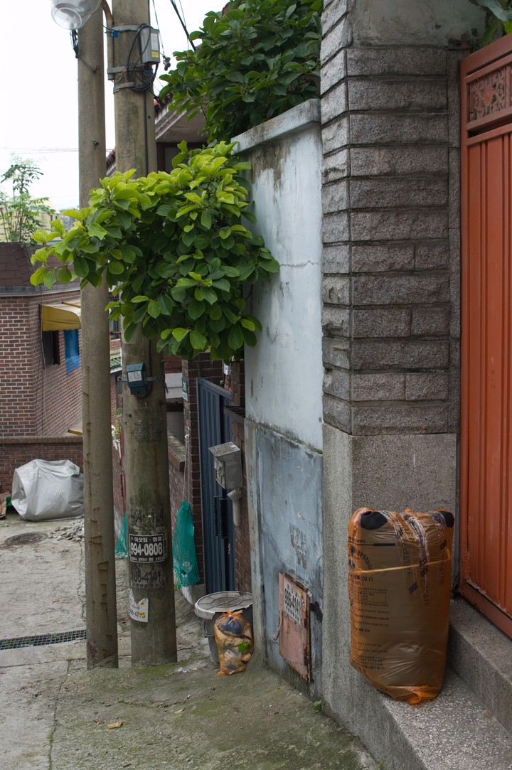 Alley