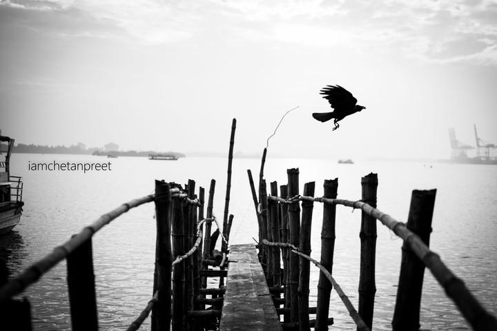 Flown away!