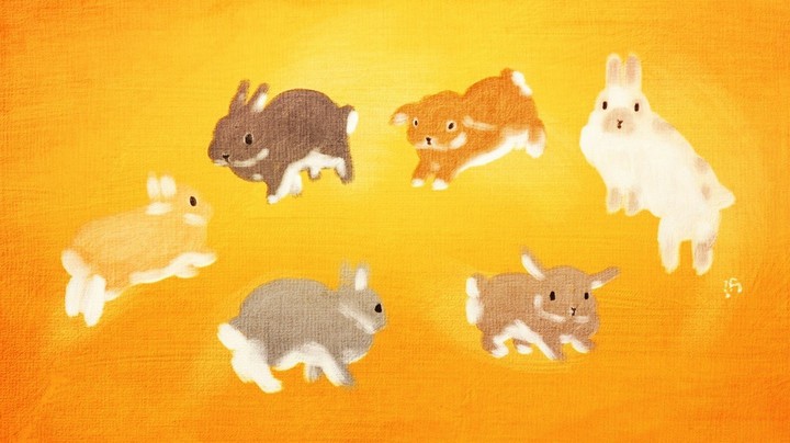 bunnies