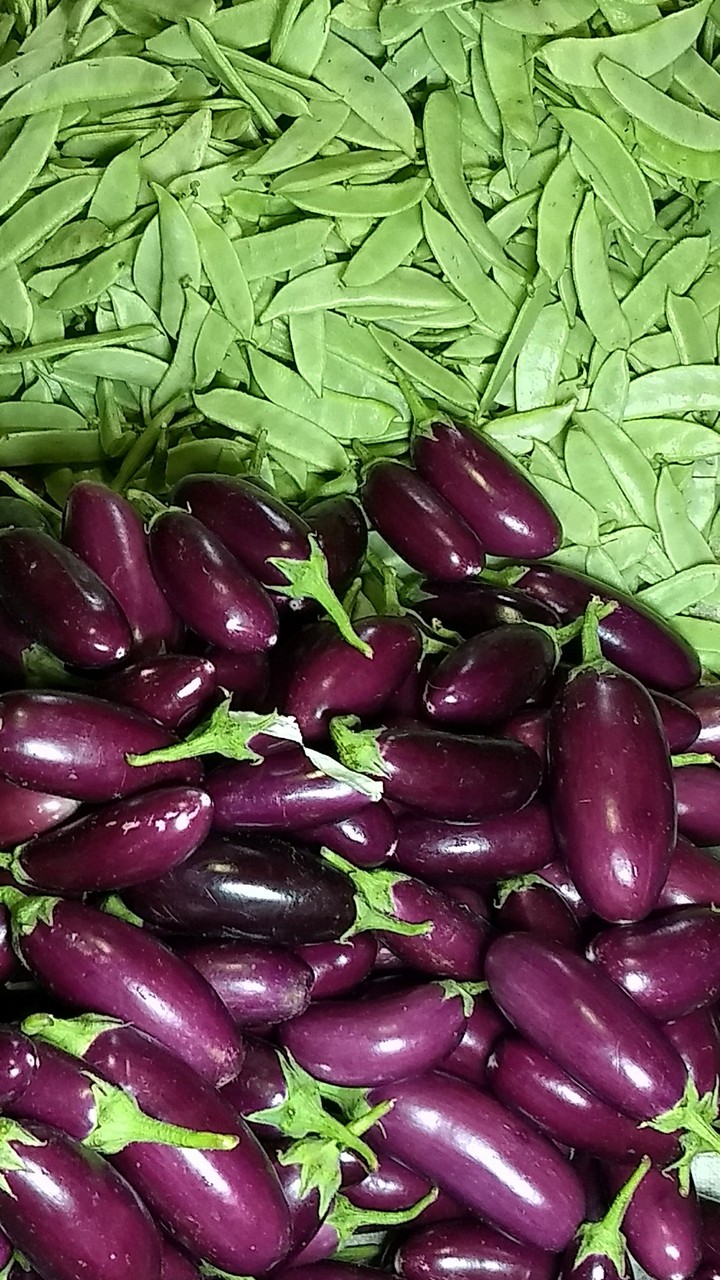 Guess which vegetable is this ?