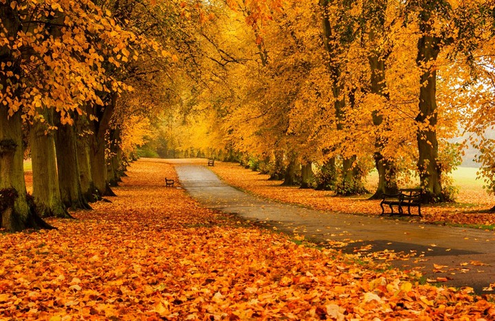 Herbst