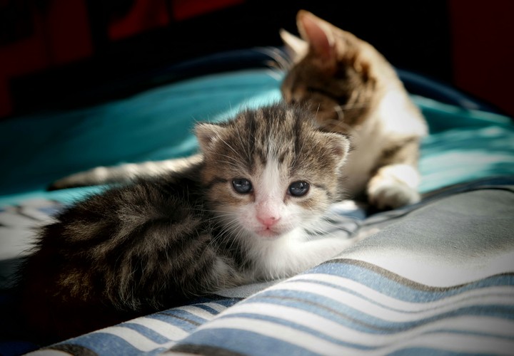 My little friend 0001