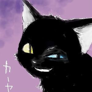 jaku