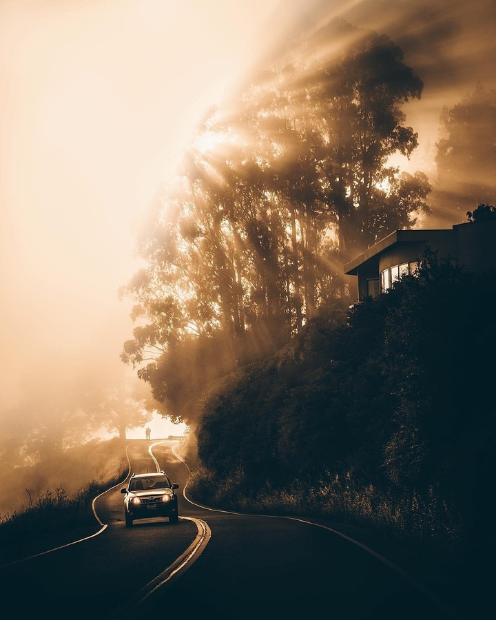 Morning Drive