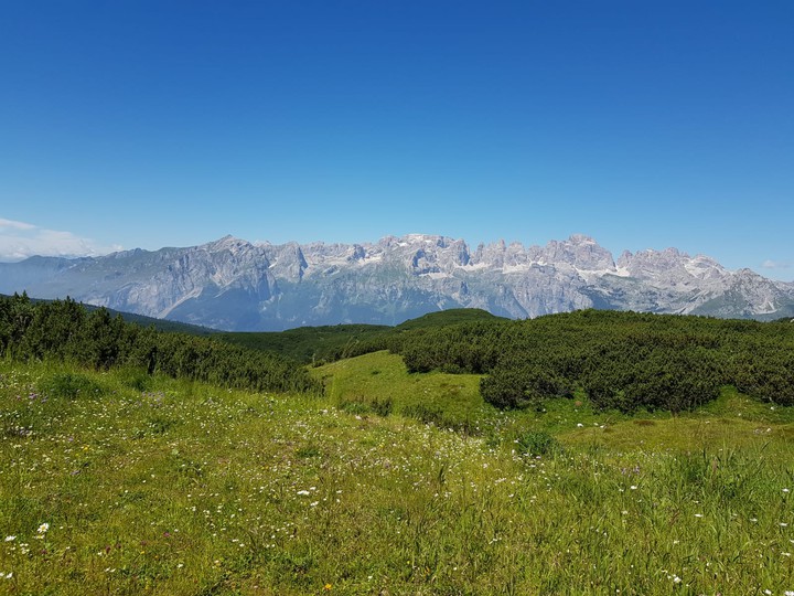 Dolomiti