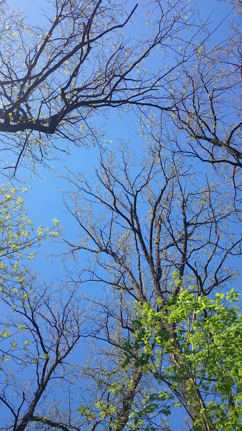 Spring is in the air