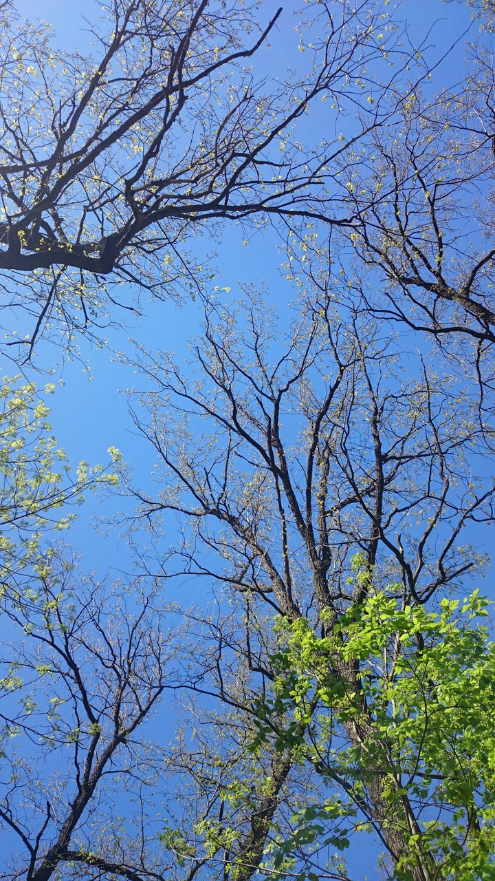 Spring is in the air