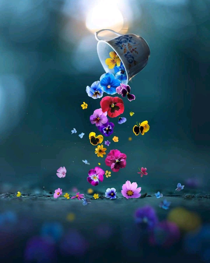 beautiful