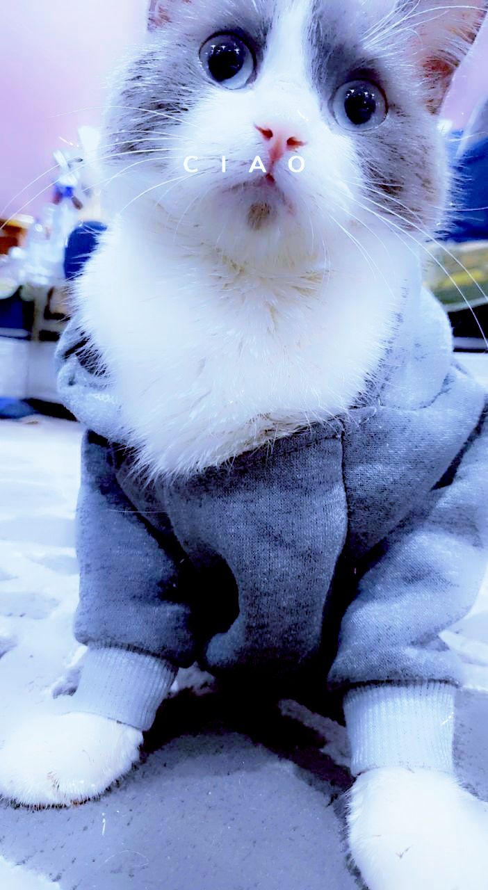 #My Cat girl friend
