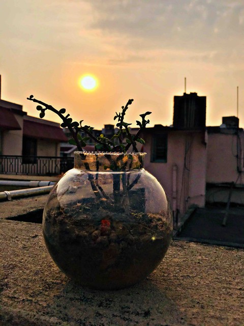 clickedbyme♥️