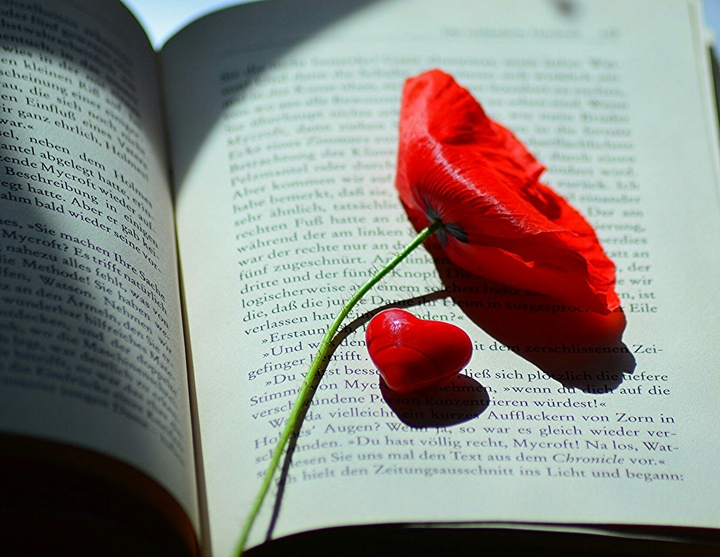 loev books