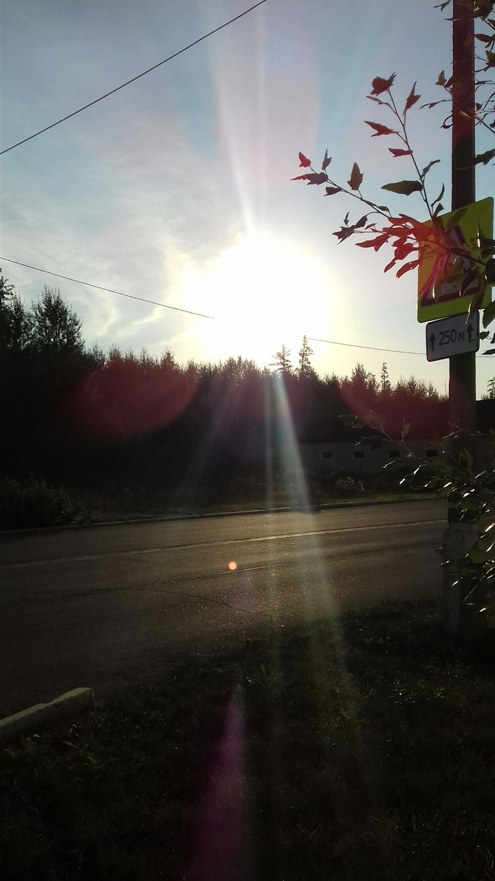 The morning sun